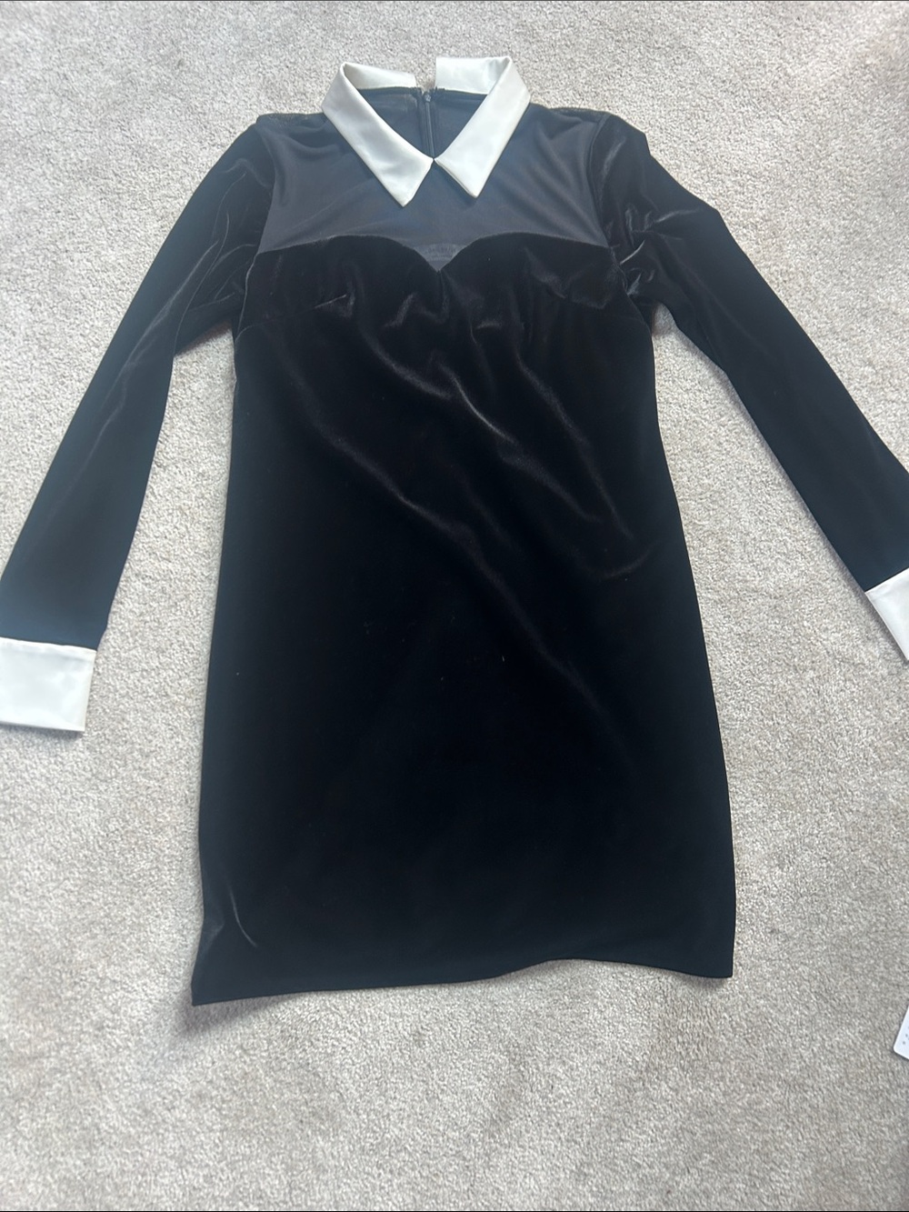 Bailey 44 Black Velvet Long-Sleeve Dress with White Collar & Cuffs
